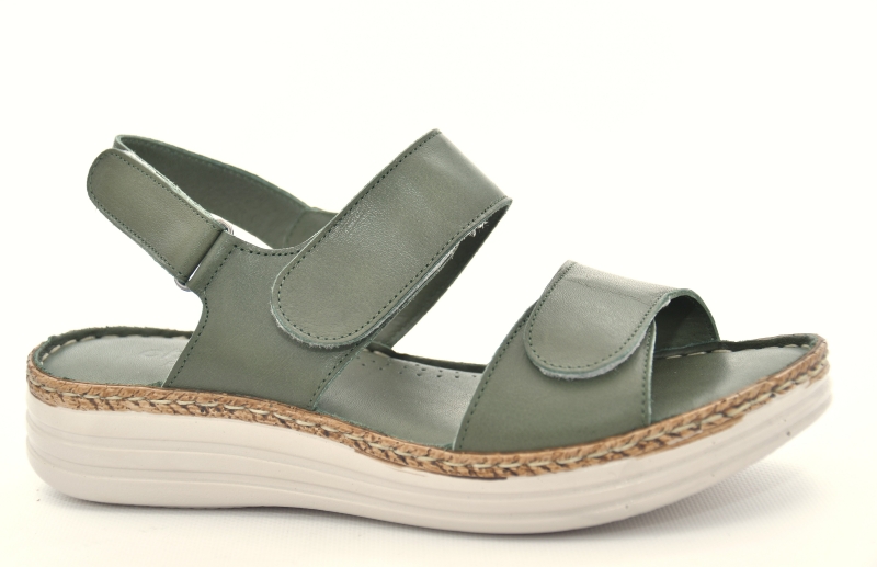 Charlotte 1379008-042