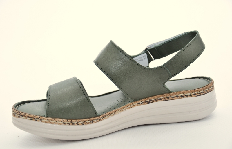 Charlotte 1379008-042