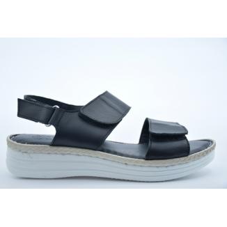 Charlotte 0523609-002