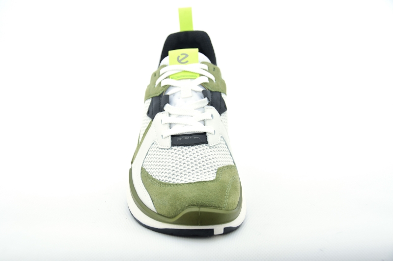 Ecco Biom 2.2