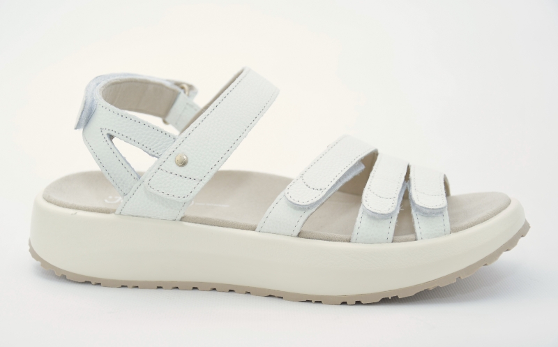 Joya Merida White