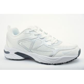 Scholl 15147155