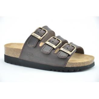 Scholl 15147304