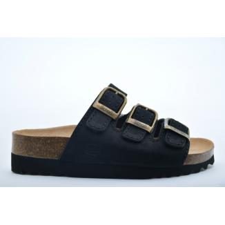 Scholl 15147400