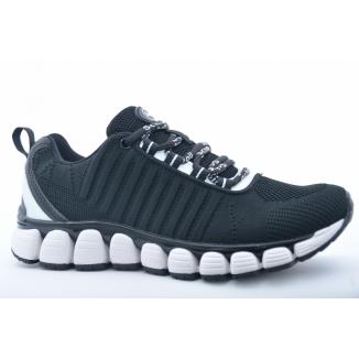 Scholl 15147459-06