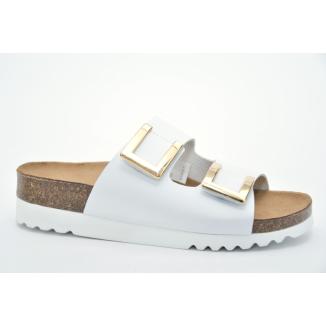 Scholl 15147818