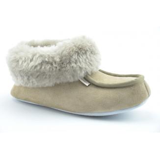 Shepherd 7242025